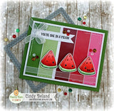 PKSC-46 May 2018 Stamp Club of the Month Stamp Set (retired)