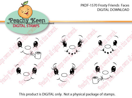 PKDF-1570 Frosty Friends DIGITAL FACES