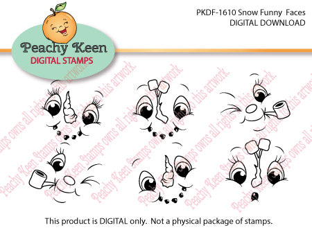 PKDF-1610 Snow Funny DIGITAL FACES