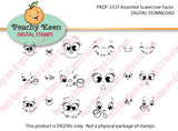 PKDF-2537 Assorted Scarecrow DIGITAL FACES
