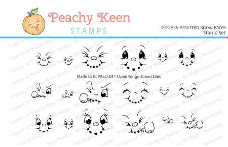 PK-2536 Assorted Snow Faces Stamp Set