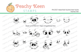 PK-2537 Assorted Scarecrow Faces Stamp Set